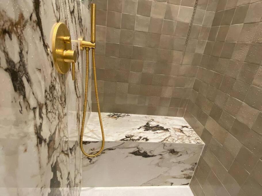 Le Petit Versailles - Appartement Centre Grenoble Esterno foto